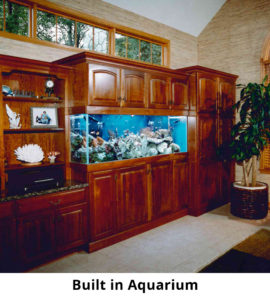 Built_in_Aquarium